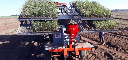 Transplantadora de MPB desenvolvida exclusivamente para o setor canavieiro já está em operação em diversas usinas