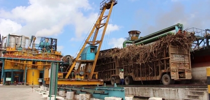 Usinas alagoanas já produziram mais 498 mil toneladas de açúcar