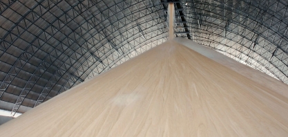 MG tem maior produção de açúcar de toda sua história