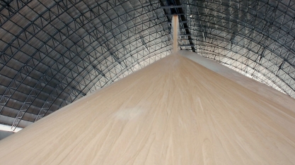 MG tem maior produção de açúcar de toda sua história