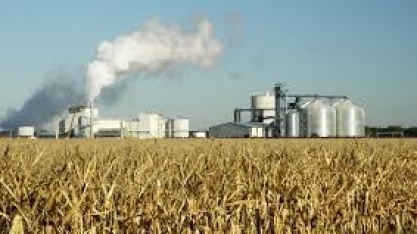 Commodities: milho ignora queda na produção americana de etanol e sobe em Chicago