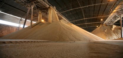 Açúcar adoça 2020 e salva o setor sucroenergético no ano da Covid-19