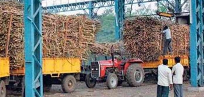 Produção de açúcar na Índia cresce 61% na safra 2020/21, diz associação