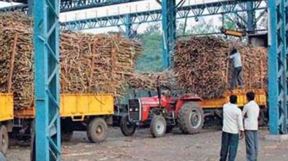 Produção de açúcar na Índia cresce 61% na safra 2020/21, diz associação