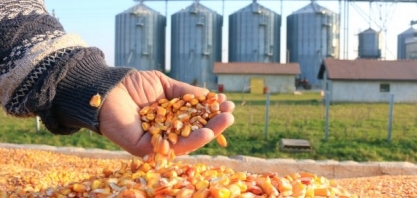 Brasil visa aumentar exportação de milho para China, mas sem pressa, diz Abramilho