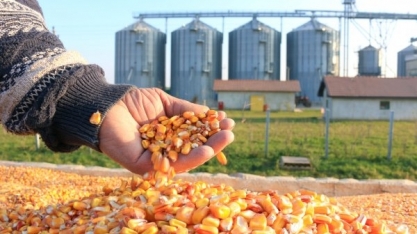 Brasil visa aumentar exportação de milho para China, mas sem pressa, diz Abramilho