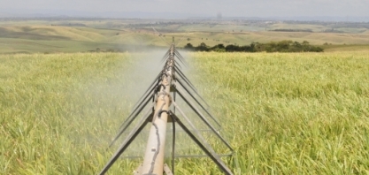 Por medo da escassez, água será negociada no mercado futuro em Wall Street