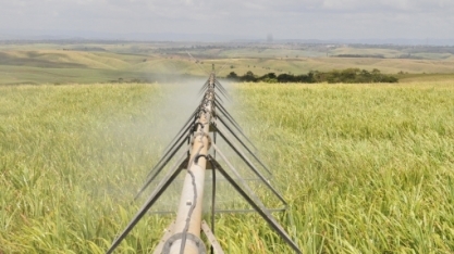 Por medo da escassez, água será negociada no mercado futuro em Wall Street