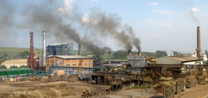 Transação estratégica entre Raízen e Biosev já foi entregue ao Cade para ser submetida 