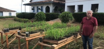 Canavieiro produz MPB de baixo custo para aumentar produtividade