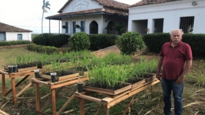 Canavieiro produz MPB de baixo custo para aumentar produtividade