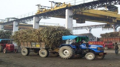 Usinas de açúcar indianas fecham negócios de exportação com alta de preços