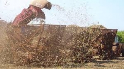 Inventário Nacional apresenta novos dados que podem subsidiar políticas para o campo e mudança do clima