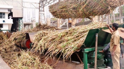 USDA: Índia avança forte na oferta da safra nova 2020/21