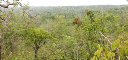 Meio ambiente e agronegócio: unidos por uma produção mais sustentável
