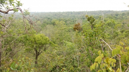 Meio ambiente e agronegócio: unidos por uma produção mais sustentável