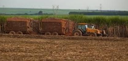 FGV prevê alta da produção agroindustrial em 2021