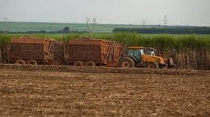 FGV prevê alta da produção agroindustrial em 2021