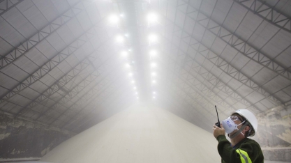 Com contratos já firmados, usinas devem focar na produção de açúcar no início da safra