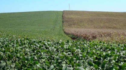 Soja e milho disparam por pressão sobre América do Sul após cortes de estoques nos EUA