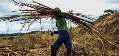 Produção agropecuária de Alagoas soma R$ 2,8 bilhões em 2020