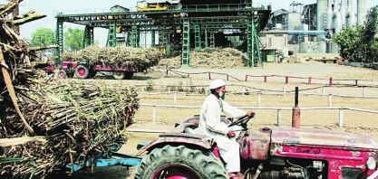 Açúcar: produção na Índia tem aumento de 42% na safra 2020/21