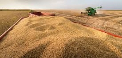 Movimento Pró-logística: Demanda do setor de grãos faz preço do frete superar piso mínimo