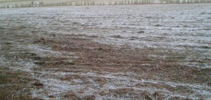 La Niña pode favorecer a ocorrência de geada em Mato Grosso do Sul