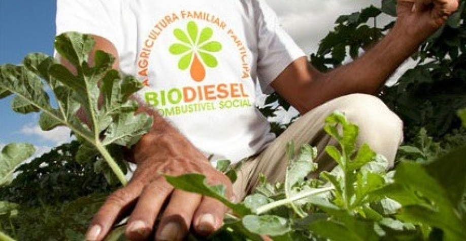 Divulgação/Aprobio