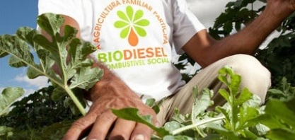 Selo Biocombustível Social gera renda para agricultores familiares