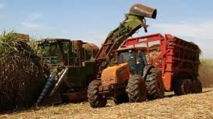 Minas Gerais bate recorde na produção de cana e açúcar
