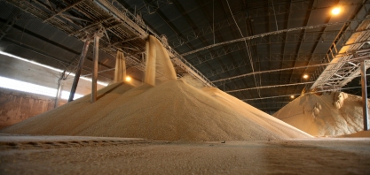 Mesmo com maior produção de açúcar, Indicador de preço atinge recorde nominal em 2020