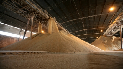Mesmo com maior produção de açúcar, Indicador de preço atinge recorde nominal em 2020