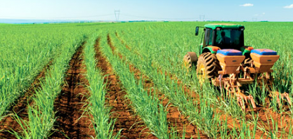 Sob pressão, Doria cancela corte de benefício para insumo agrícola de alimentos e genéricos