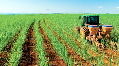 Sob pressão, Doria cancela corte de benefício para insumo agrícola de alimentos e genéricos