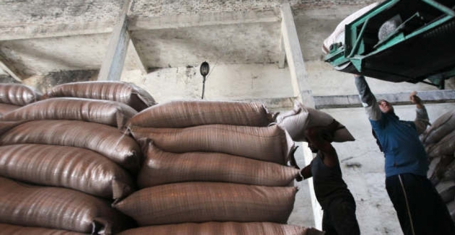 A Tailândia enfrenta uma safra ruim, a produção da Europa diminuiu e o Brasil deve produzir menos açúcar depois que a seca no ano passado prejudicou o desenvolvimento da cana(Imagem: REUTERS/Sergio Moraes)