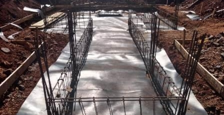 Foto: Embrapa Divulgação