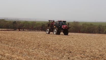 Em período seco ou chuvoso, a aplicação de herbicida deve ser em pré-emergência