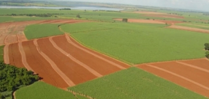 Título Verde pode injetar R$ 700 bilhões na agricultura brasileira até 2030