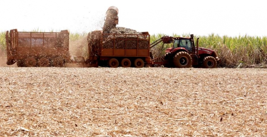 Colheita de cana-de-açúcar em Pradópolis (SP) 13/09/2018 REUTERS/Paulo Whitaker Foto: Reuters