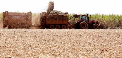 Produção de açúcar do Brasil deve recuar 6% na nova temporada, diz Czarnikow