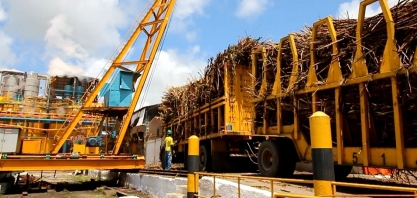 Sindaçúcar-AL: usinas já processaram mais de 13,1 mi de toneladas de cana