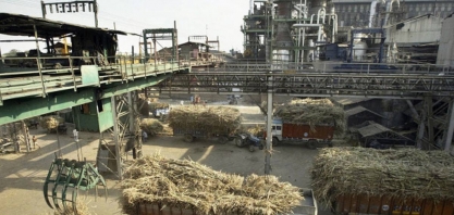 Produção de açúcar da Índia salta 25% de outubro a janeiro, diz associação