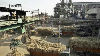 Produção de açúcar da Índia salta 25% de outubro a janeiro, diz associação