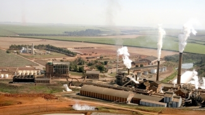 São Martinho: esqueça o tombo no lucro e compre as ações, diz UBS