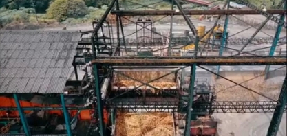 Falta de chuvas em Alagoas afeta produção da cana-de-açúcar