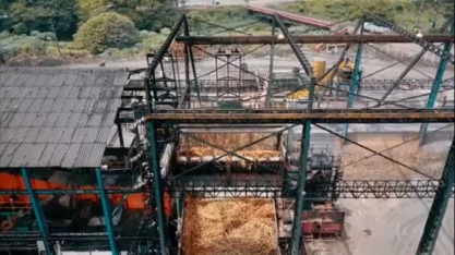 Falta de chuvas em Alagoas afeta produção da cana-de-açúcar