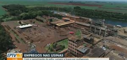 Usinas da região intensificam contratações para a safra 2021/2022