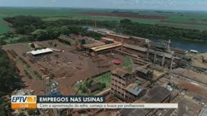 Usinas da região intensificam contratações para a safra 2021/2022