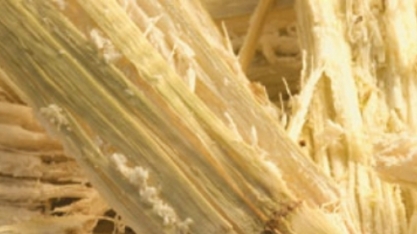 Bagaço de cana-de-açúcar consegue “limpar” água contaminada